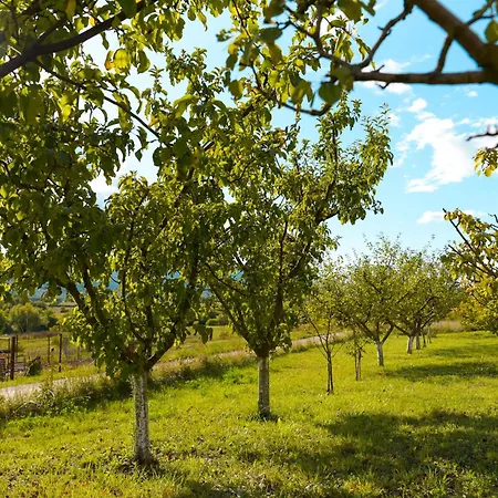 Sarabaca Apartmán Bajagic