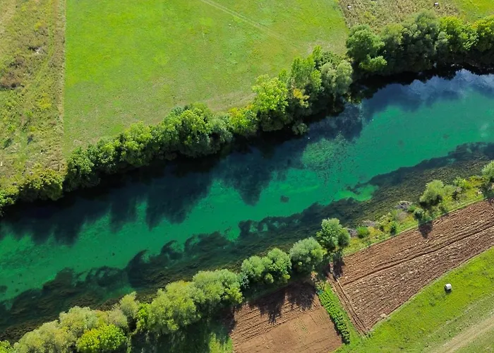 Sarabaca Apartmán *