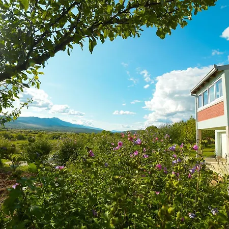 Apartamento Sarabaca *