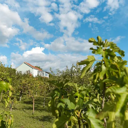 Lägenhet Sarabaca *