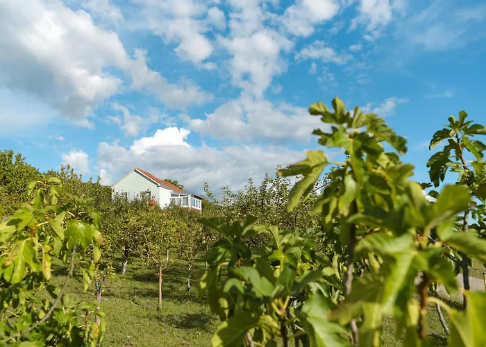 Lägenhet Sarabaca *