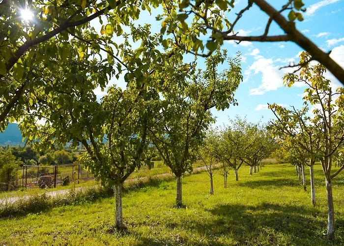 Sarabaca Apartment Bajagic